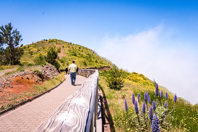 East Madeira 4x4 Jeep Tour with Local Guide - Miradouro do Paradao: the quiet Funchal overlook that sets the tone
