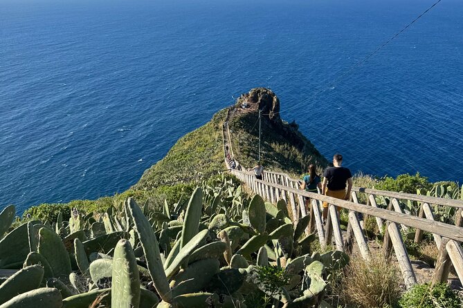 EAST: Pico do Arieiro & Laurissilva Forest - Full Day tour - Key highlights that make this tour worth your time