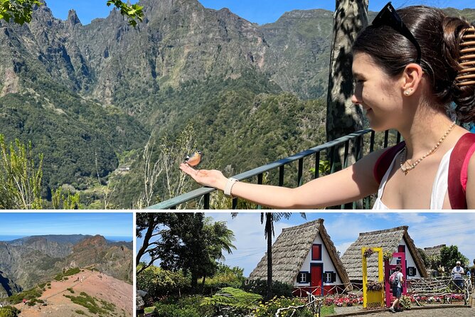 EAST: Pico do Arieiro & Laurissilva Forest - Full Day tour - Why Madeira East changes your altitude all day long