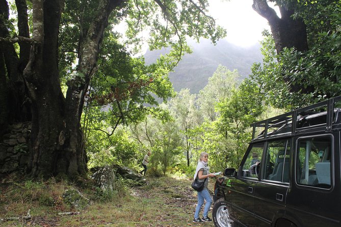 East Tour - 4x4 - Small Group - Quinta do Furão: the lunch stop with a view