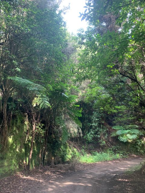 East Tour: Open Roof jeep tour to East Madeira - Santana - Ribeiro Frio: trout reserve time and a chance to learn by watching