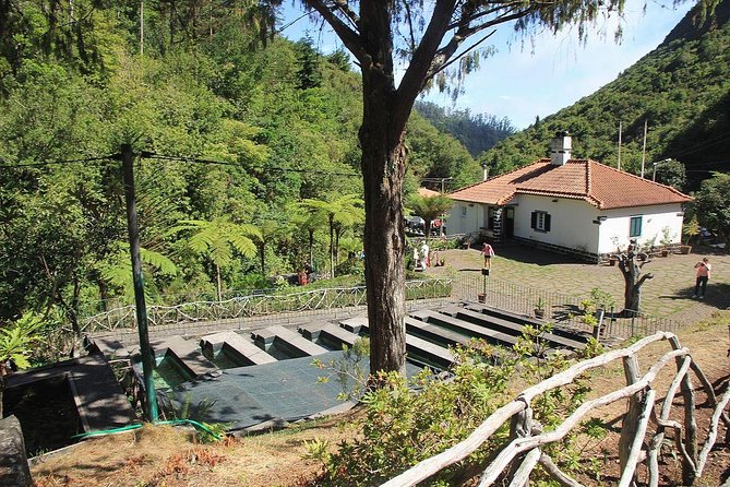 East Tour - Santana - Miradouro do Guindaste: Sea Views With a Feather-Light Stop