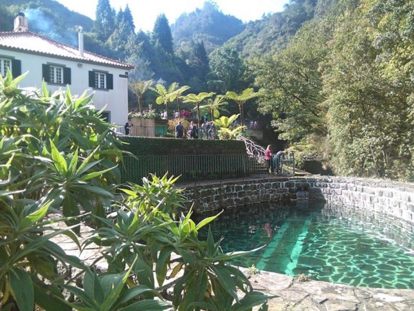 Eastern Madeira: Full-Day Tour with Rum Tasting - Ribeiro Frio and the Balcões Levada Walk in the laurel forest