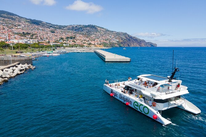 Eco-Friendly Catamaran Dolphin and Whale Watching - Onboard Comfort: Clean Catamaran, Good Space, and Bar-Friendly Breaks