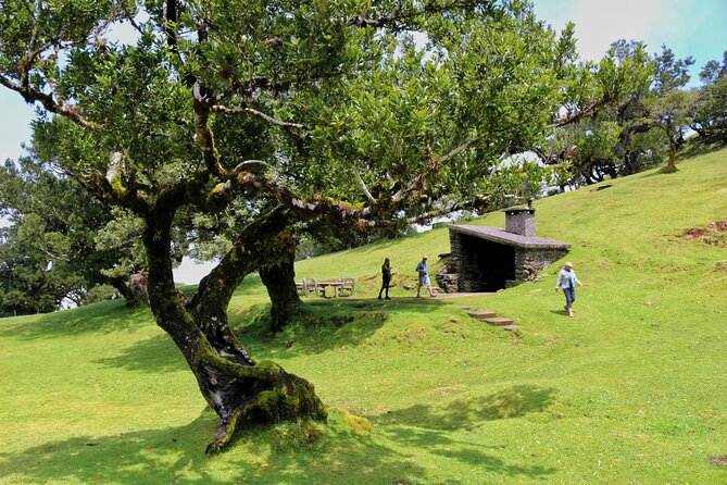 Exploring new Northwest frontiers: Beyond Madeira in 4x4 tour - Paul da Serra: the big plateau where wind runs the show