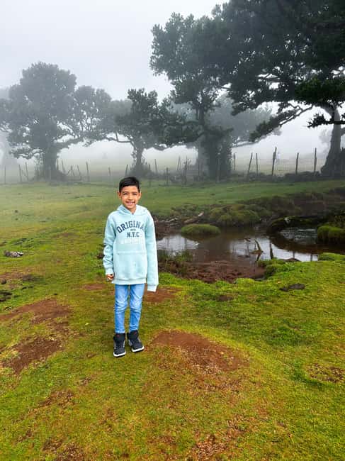 Family tour Madeira Island - The 8-Hour Family Rhythm: A Plan That Won’t Stress the Kids