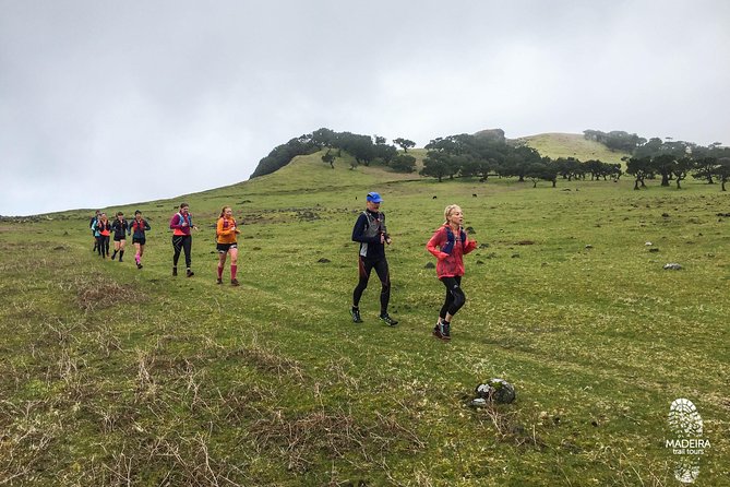 Fanal Ancient Forest Running Tour (Easy-Moderate) - Vereda do Fanal: your climb, controlled and scenic