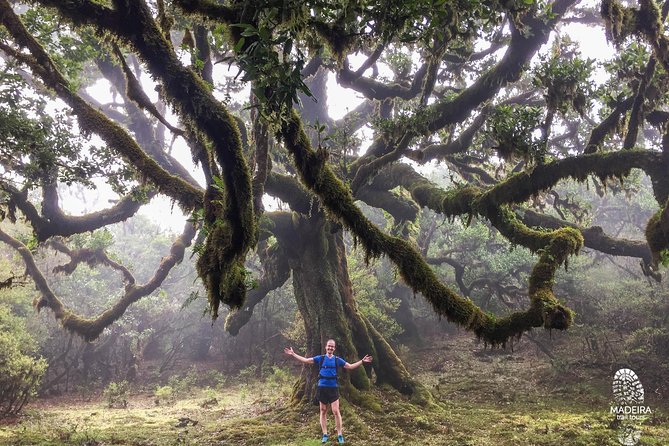 Fanal Ancient Forest Running Tour (Easy-Moderate) - Levada dos Cedros return: a calmer way back to the road
