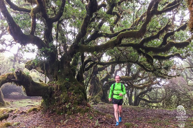 Fanal Ancient Forest Running Tour (Easy-Moderate) - What to pack (and what to plan for) on muddy, rooty terrain