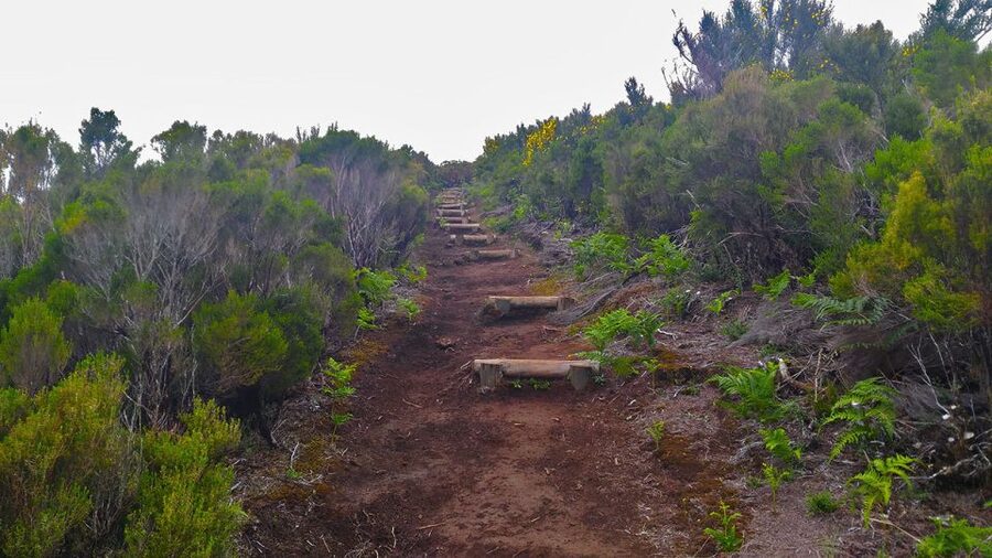 Fanal / Assobiadores - Levada Walk - Price and value: does $50 make sense here?