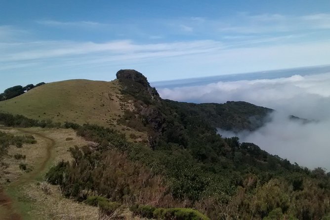 Fanal -Enchanted Forest - Bonus stops you might see: black sand and Ribeira da Janela viewpoints