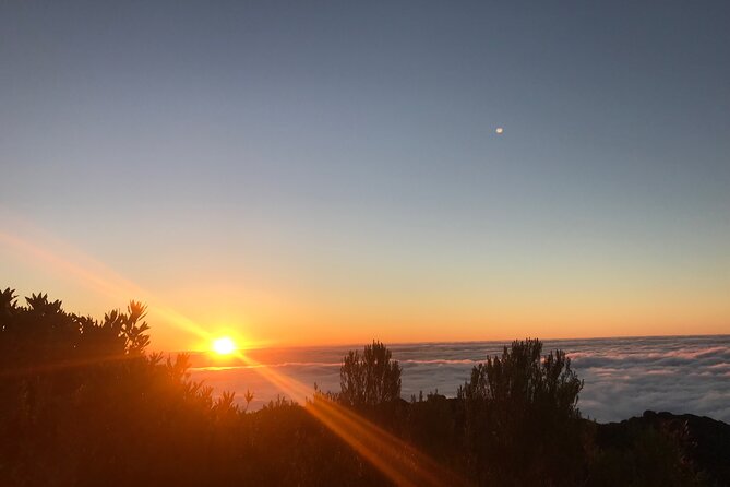 Fanal Forest Private Sunset Hike - Timing That Makes the Sunset Possible: Pickup at 1:30 pm and a Late Afternoon Walk