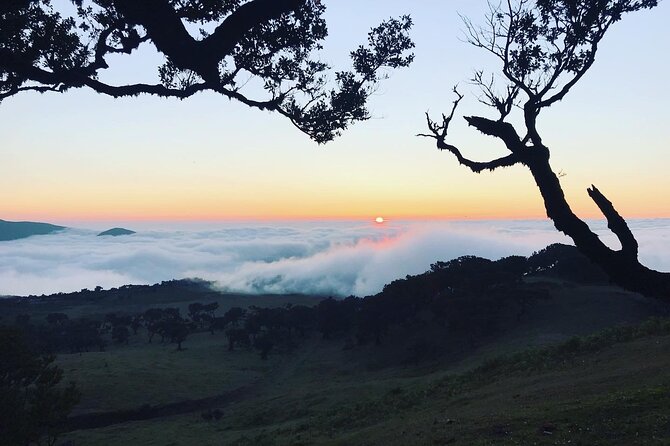 Fanal Forest Private Sunset Hike - How Paulo Keeps It Calm: Photo Stops and Paths Away From the Tourist Trail