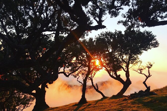 Fanal Forest Private Sunset Hike - Optional Extras You Might Enjoy: Seixal, Poncha, and Local Food Stops