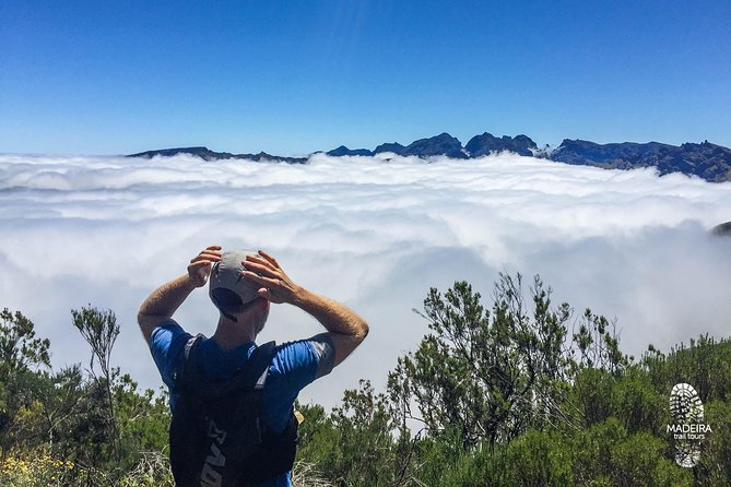 Folhadal Hidden Treasures Running Tour (Moderate) - Small-group dynamics with Dino and Madeira Trail Tours