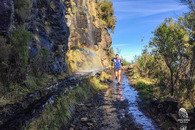 Folhadal Hidden Treasures Running Tour (Moderate) - Price and value: is $71.01 fair for an 18 km UNESCO-style run?
