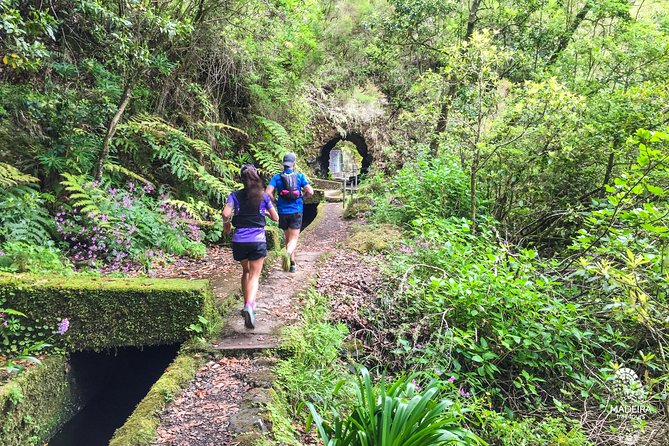 Folhadal Hidden Treasures Running Tour (Moderate) - Levada running, waterfalls, and the two tunnel sections (500 m and 800 m)