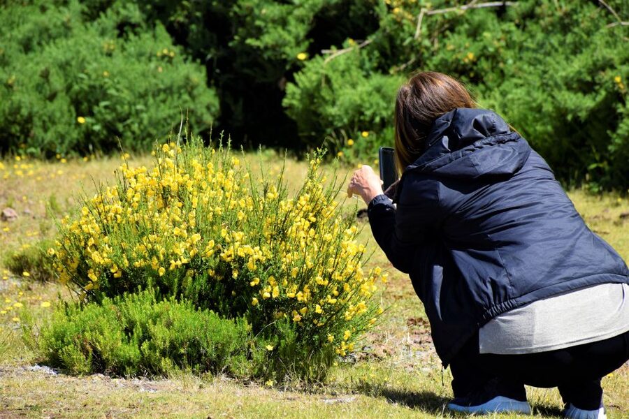 From Funchal: 2-Day Guided Tour of Madeira - FAQ