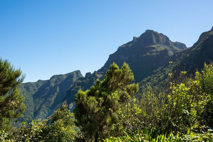 From Funchal: Best of Madeira's West Tour - North Coast Stops: Where Atlantic Waves Write the Postcards