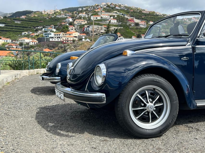 From Funchal: Cabo Girão & Poncha Tasting by Classic VW - Price and value: is $88 per person fair for what you get?