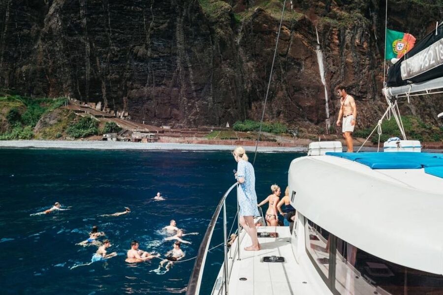 From Funchal: Cabo Girao Sunset Cruise on Luxury Catamaran - Whale and Dolphin Spotting: What’s Likely and What Isn’t