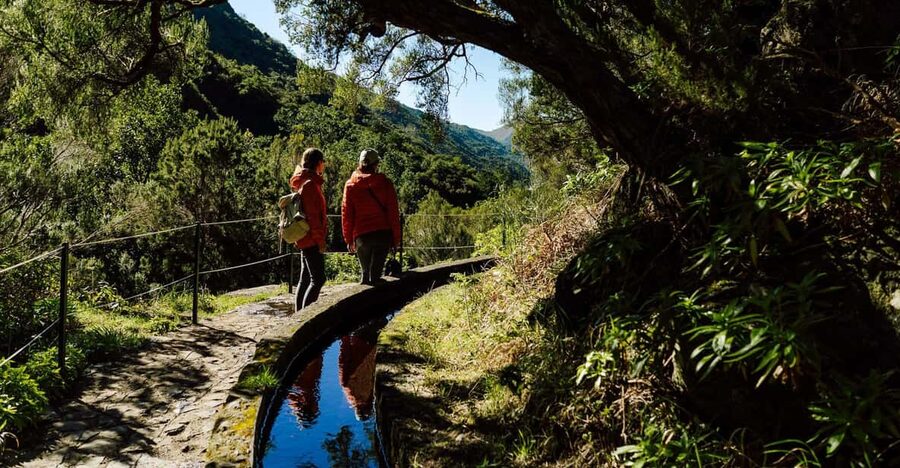 From Funchal/Caniço: Rabaçal Hike (25 Fontes) Bus Transfer - Key highlights to know before you go