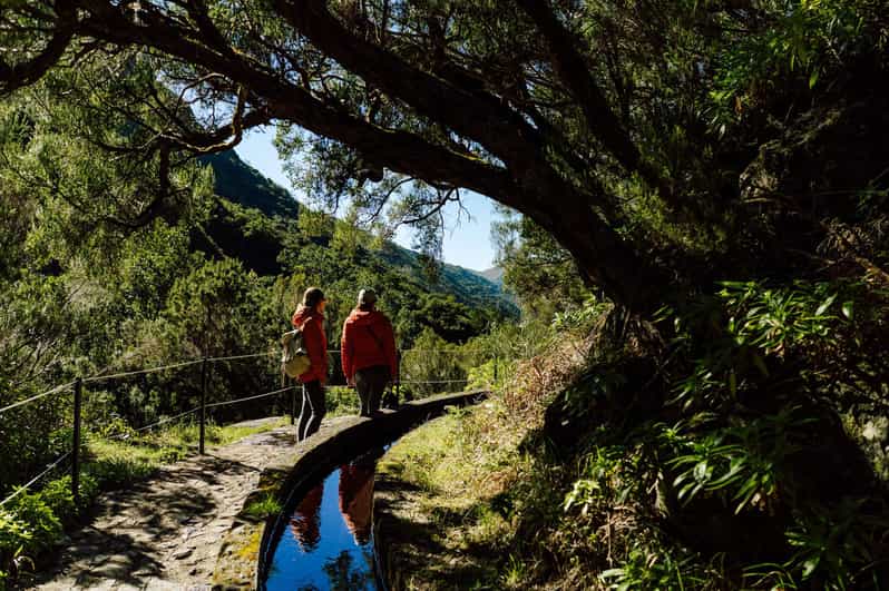 From Funchal/Caniço: Rabaçal Hike (25 Fontes) Bus Transfer - Price and logistics: what you really pay for
