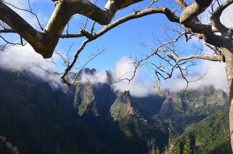 From Funchal: East Tour Madeira 4x4 Jipe Tour Santana Houses - Santana’s triangular houses: 1.5 hours to slow down