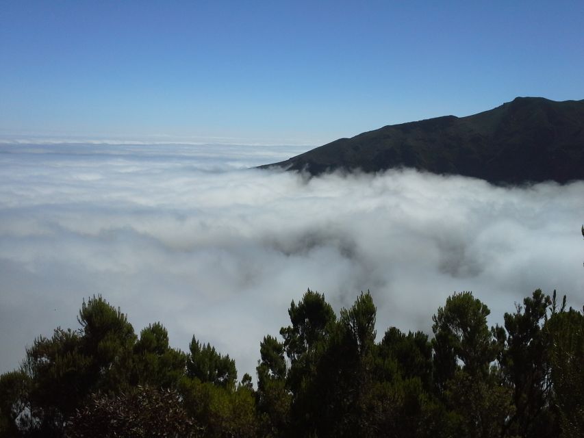 From Funchal: East Tour Madeira 4x4 Jipe Tour Santana Houses - Faial photo stop: the quick village feeling