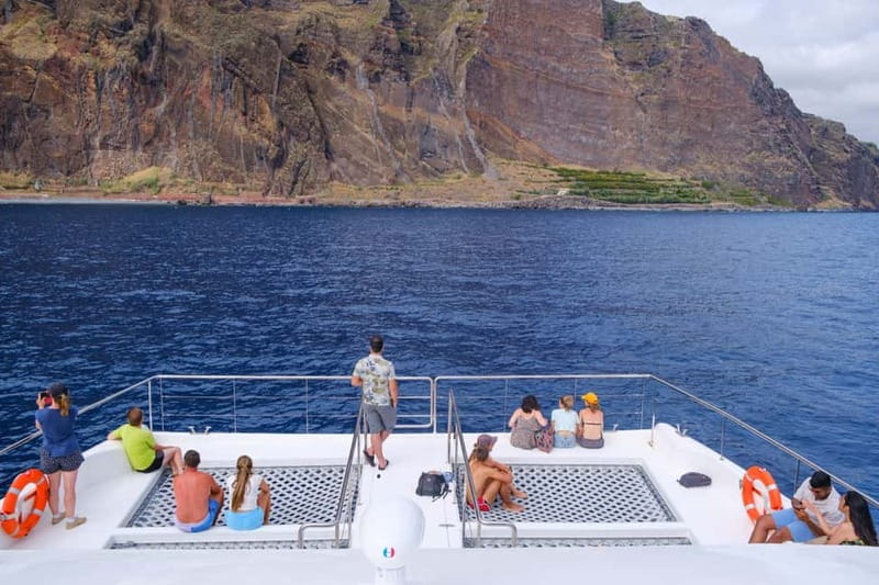 From Funchal: Ecological Catamaran Dolphin Whale Watching - The boat setup that makes whale watching easier (not just prettier)