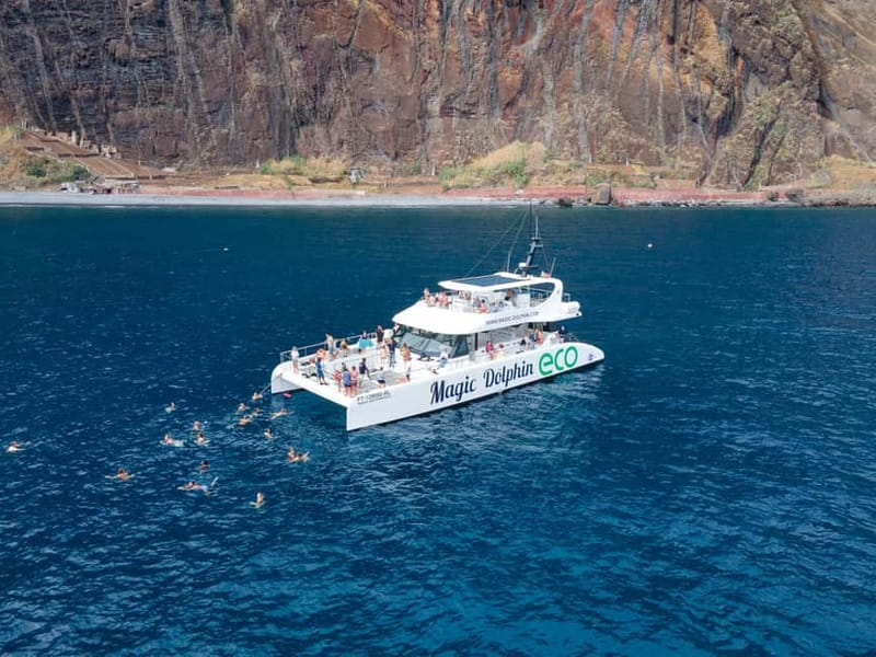 From Funchal: Ecological Catamaran Dolphin Whale Watching - Food, drinks, and onboard comfort for a windy sea day