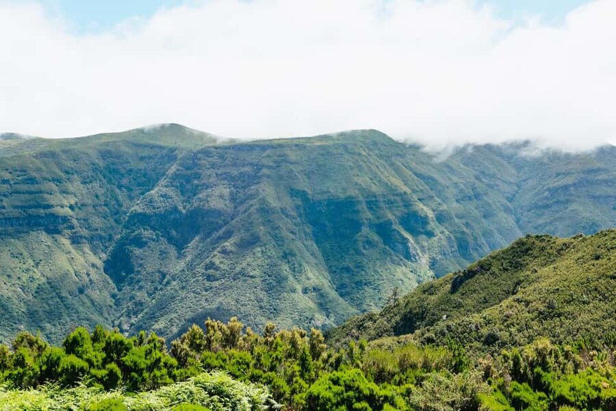 From Funchal: Fanal, Porto Moniz and Seixal Day Jeep Tour - Paul da Serra plateau: off-road energy and cloud-level views