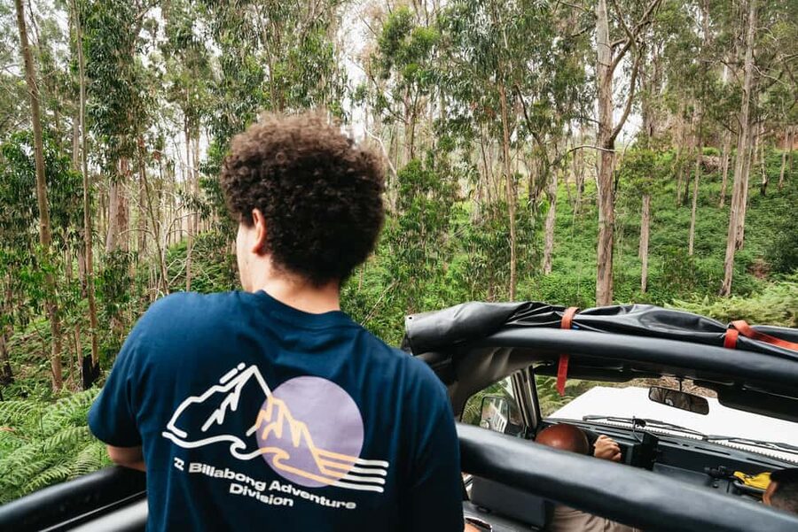 From Funchal: Fanal, Porto Moniz and Seixal Day Jeep Tour - Fanal forest: the misty walk that feels like a different Madeira