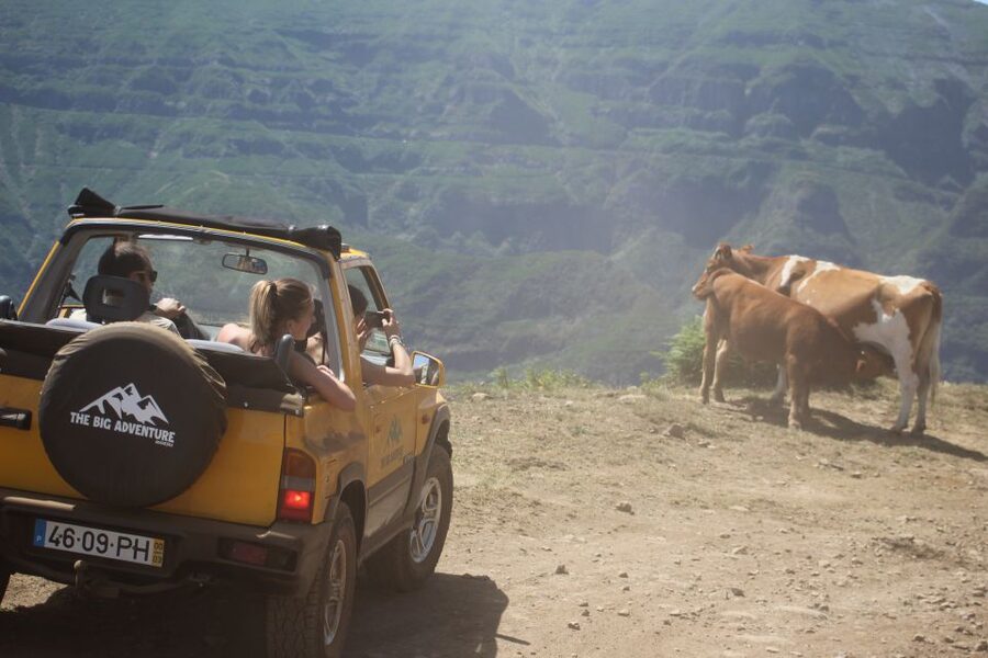 From Funchal: Guided Tour of Madeira Mountains in a Jeep - Comfort, Safety, and What to Bring (So the Day Feels Easy)