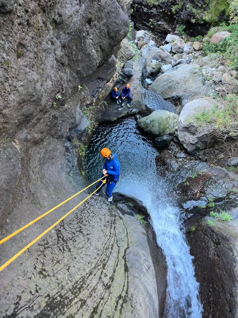 From Funchal: Intermediate Canyoning Adventure (Level 2) - Madeira canyoning Level 2: what you’re really signing up for