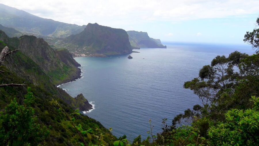 From Funchal: Machico to Porto da Cruz Larano Cliff Hike - Key things you’ll notice on the Larano Cliff hike