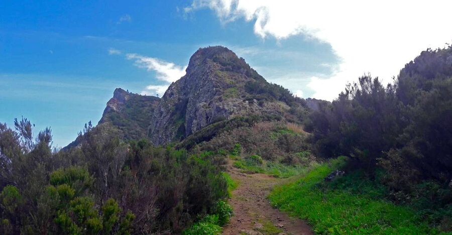 From Funchal: Machico to Porto da Cruz Larano Cliff Hike - Why the Larano Cliff Hike Is More Than a Pretty Walk