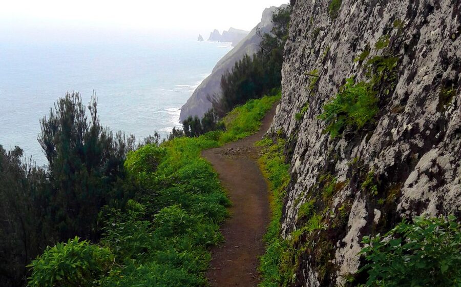 From Funchal: Machico to Porto da Cruz Larano Cliff Hike - Ocean Views on the Northeast Edge of Madeira