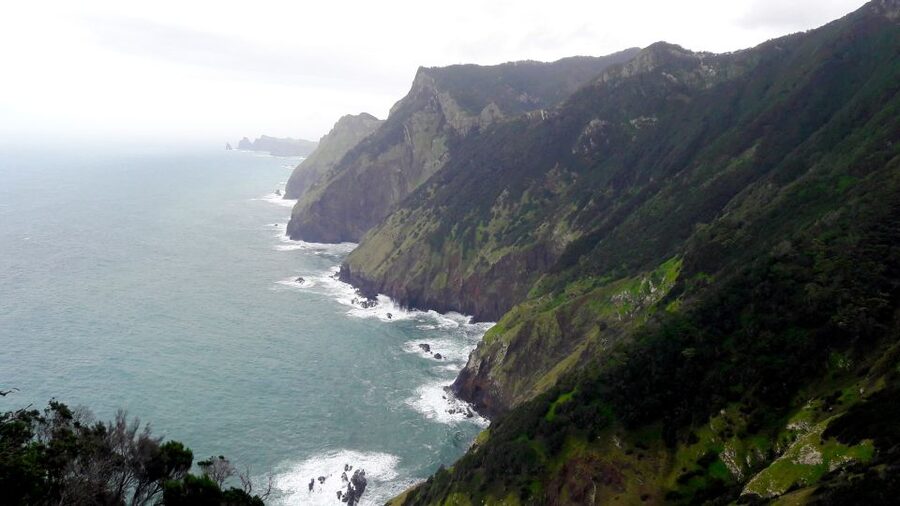 From Funchal: Machico to Porto da Cruz Larano Cliff Hike - From Machico’s Green Start to Porto da Cruz’s Coastal Finish