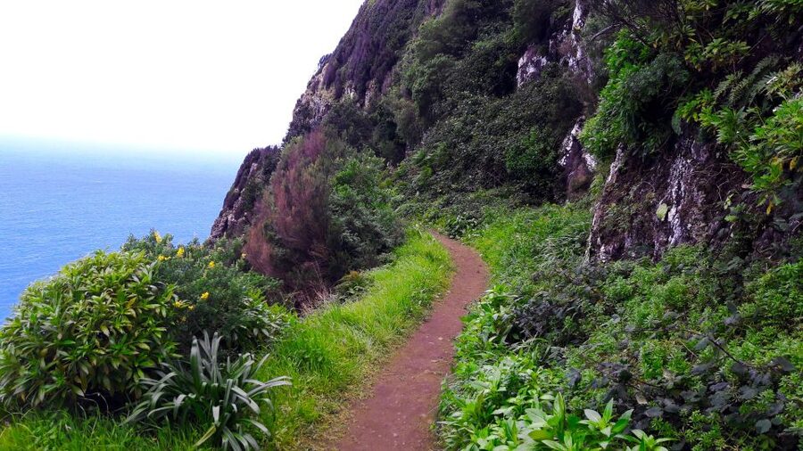 From Funchal: Machico to Porto da Cruz Larano Cliff Hike - What to Bring (Since Meals and Drinks Aren’t Included)