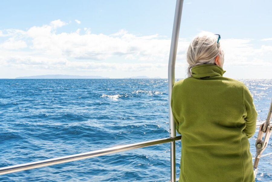 From Funchal: Madeira Dolphin and Whale Watching Tour - Key things that make this tour worth your time