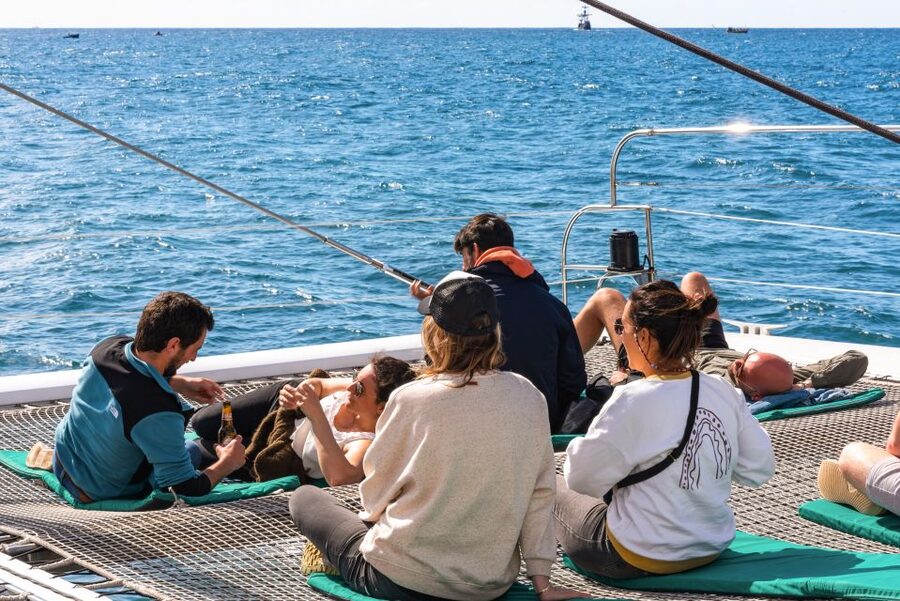 From Funchal: Madeira Dolphin and Whale Watching Tour - How animal-watching rules shape your experience
