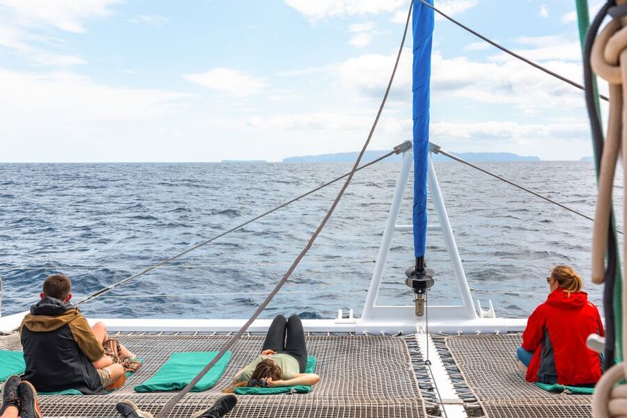From Funchal: Madeira Dolphin and Whale Watching Tour - Pricing and value: is $47 a fair deal?