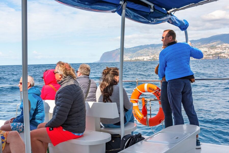 From Funchal: Madeira Dolphin and Whale Watching Tour - What the day feels like, step by step