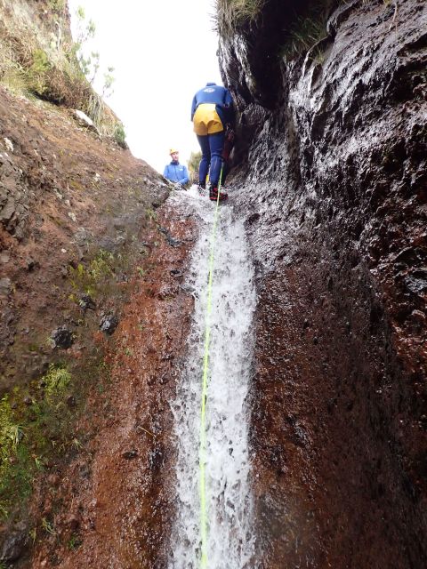 From Funchal: Madeira Island Canyoning for Beginners - Price and Time: Does $82 Add Up for a 4-Hour Adventure?