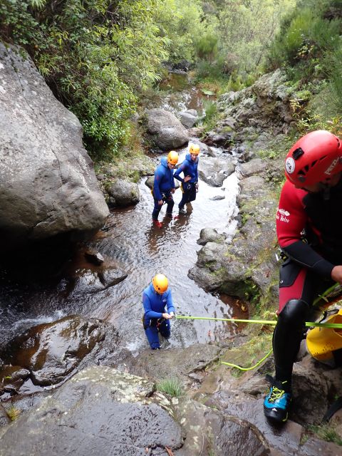 From Funchal: Madeira Island Canyoning for Beginners - Food, Photos, and the End-of-Trip Reset