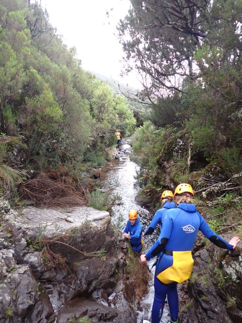 From Funchal: Madeira Island Canyoning for Beginners - Safety and Guide Style: Why the Best Part Is the Way You’re Managed
