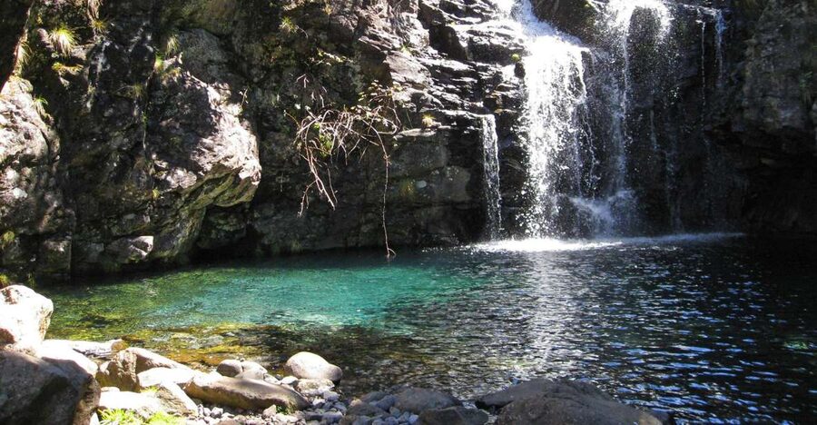 From Funchal: Madeira Lakes Levada Guided Hike - Why Madeira’s levadas feel like the island’s secret route