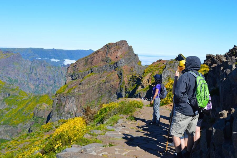 From Funchal: Madeira Peaks Mountain Walk - Key highlights worth your attention