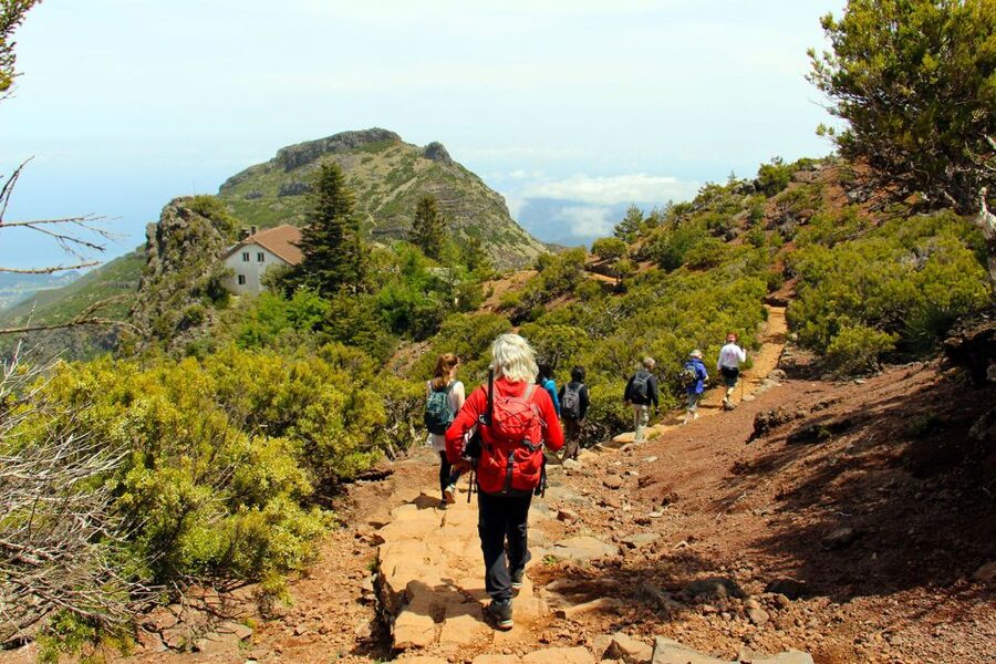 From Funchal: Madeira Peaks Mountain Walk - From Funchal to the trailhead: what the van ride sets up
